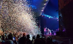 Splendour in the Grass 2018